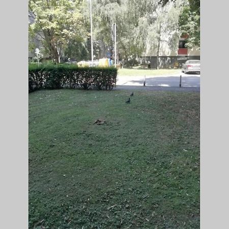 Sarmantni Apartman Malecka Zagreb Dış mekan fotoğraf