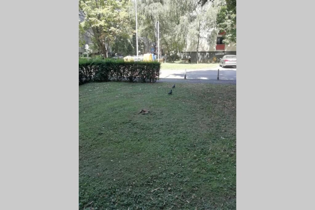 Sarmantni Apartman Malecka Zagreb Dış mekan fotoğraf