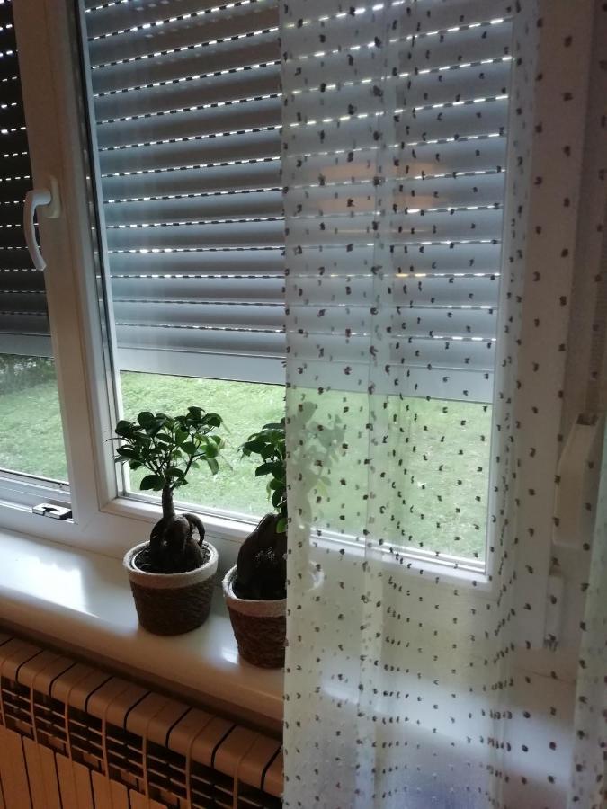 Sarmantni Apartman Malecka Zagreb Dış mekan fotoğraf