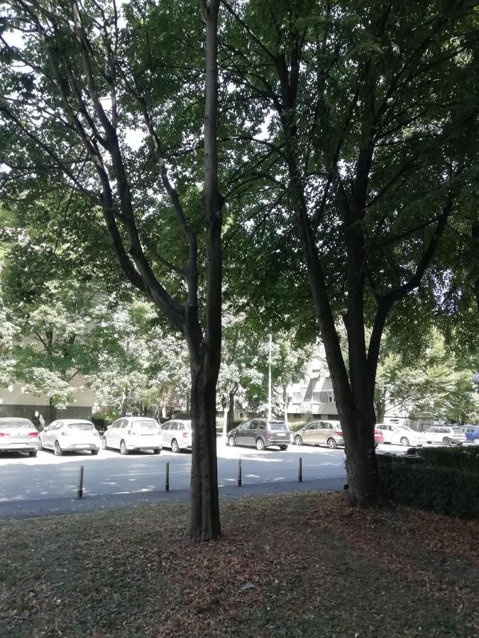 Sarmantni Apartman Malecka Zagreb Dış mekan fotoğraf